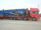 /images/helicopter_move011